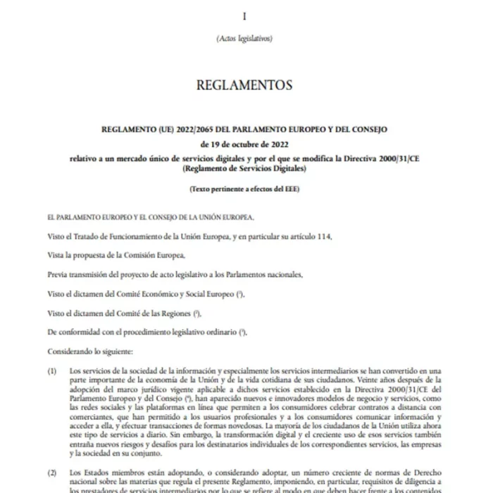 La Ley de Servicios Digitales